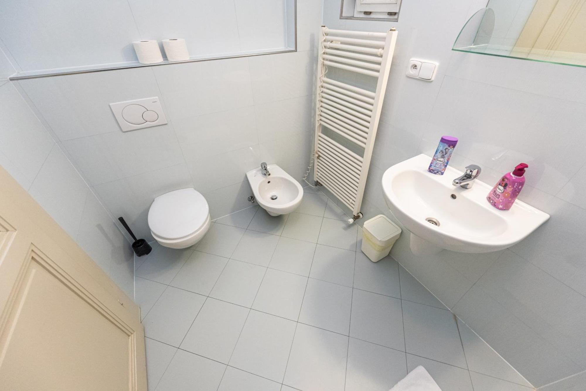 פראג Jiriho Z Podebrad Apartments מראה חיצוני תמונה