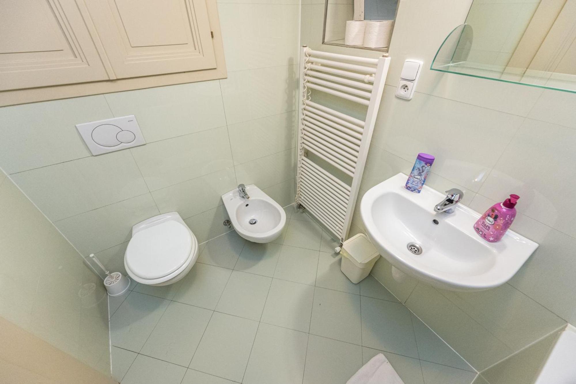 פראג Jiriho Z Podebrad Apartments מראה חיצוני תמונה