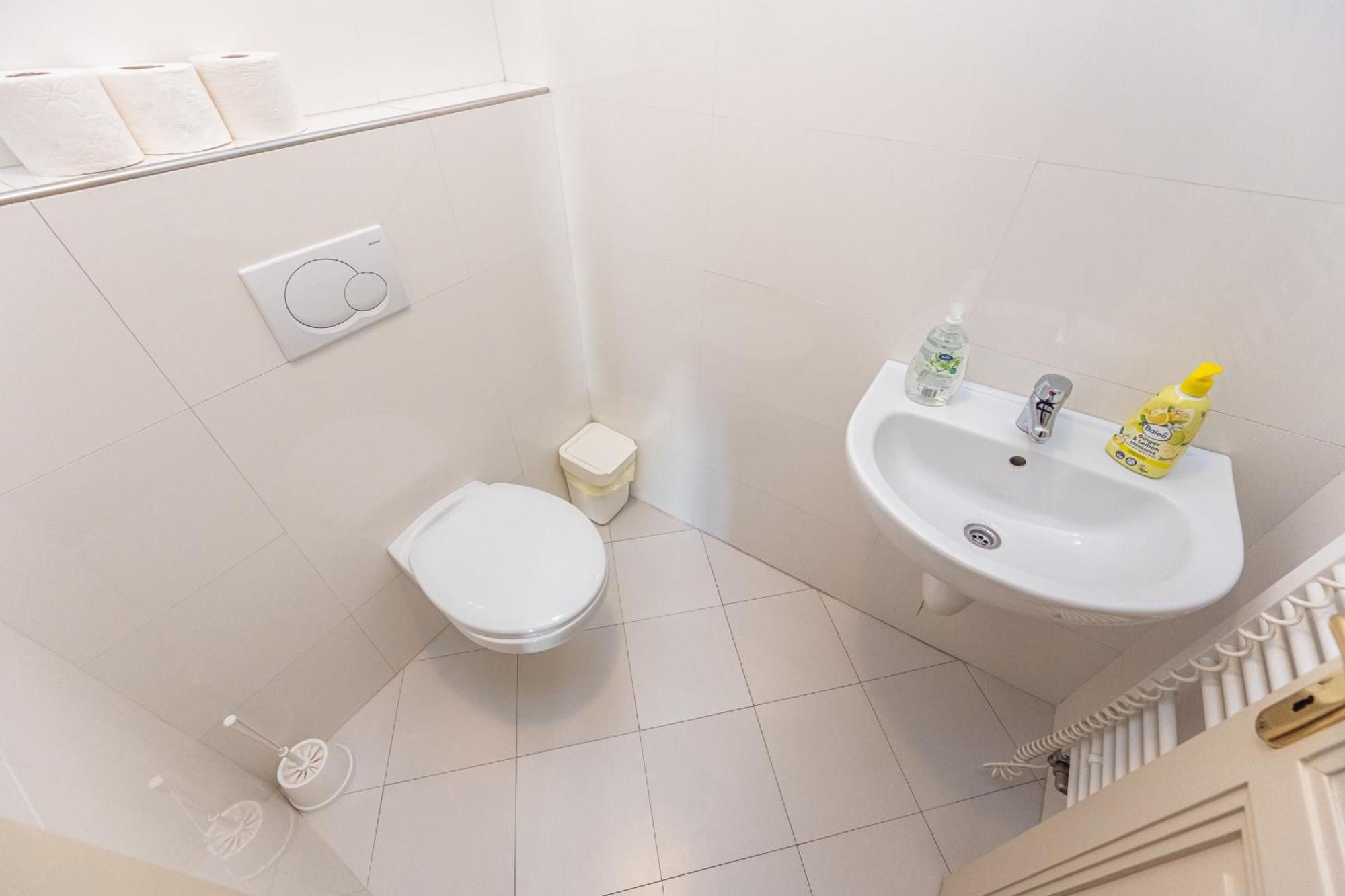 פראג Jiriho Z Podebrad Apartments מראה חיצוני תמונה