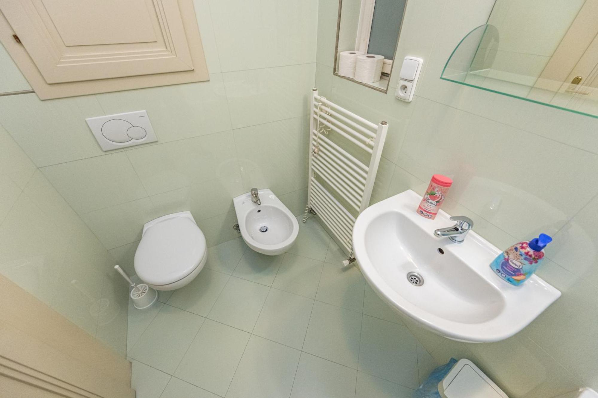 פראג Jiriho Z Podebrad Apartments מראה חיצוני תמונה